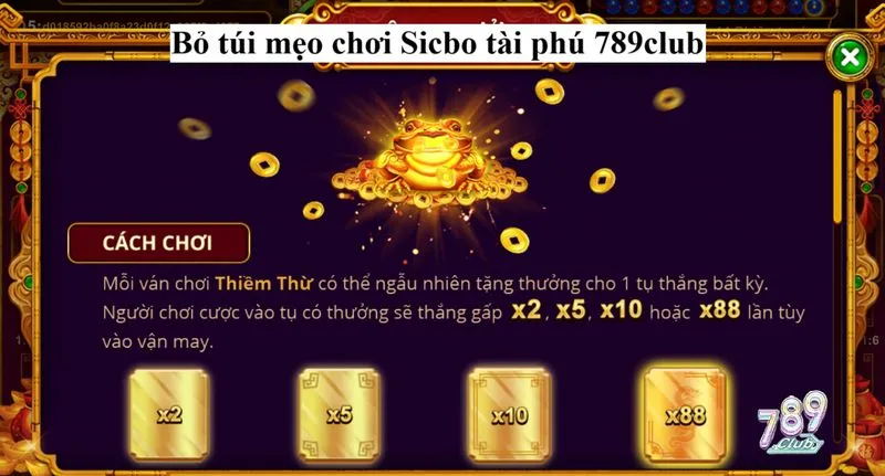 Mở khóa kho tàng kiến thức để chiến thắng Sicbo tài phú